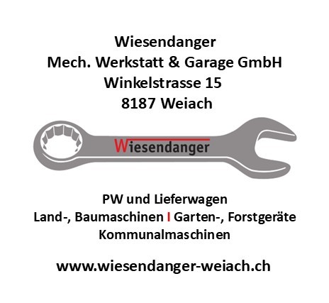 Wiesendanger